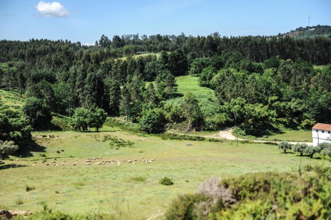 Vumba Agroturismo أرغانيل المظهر الخارجي الصورة