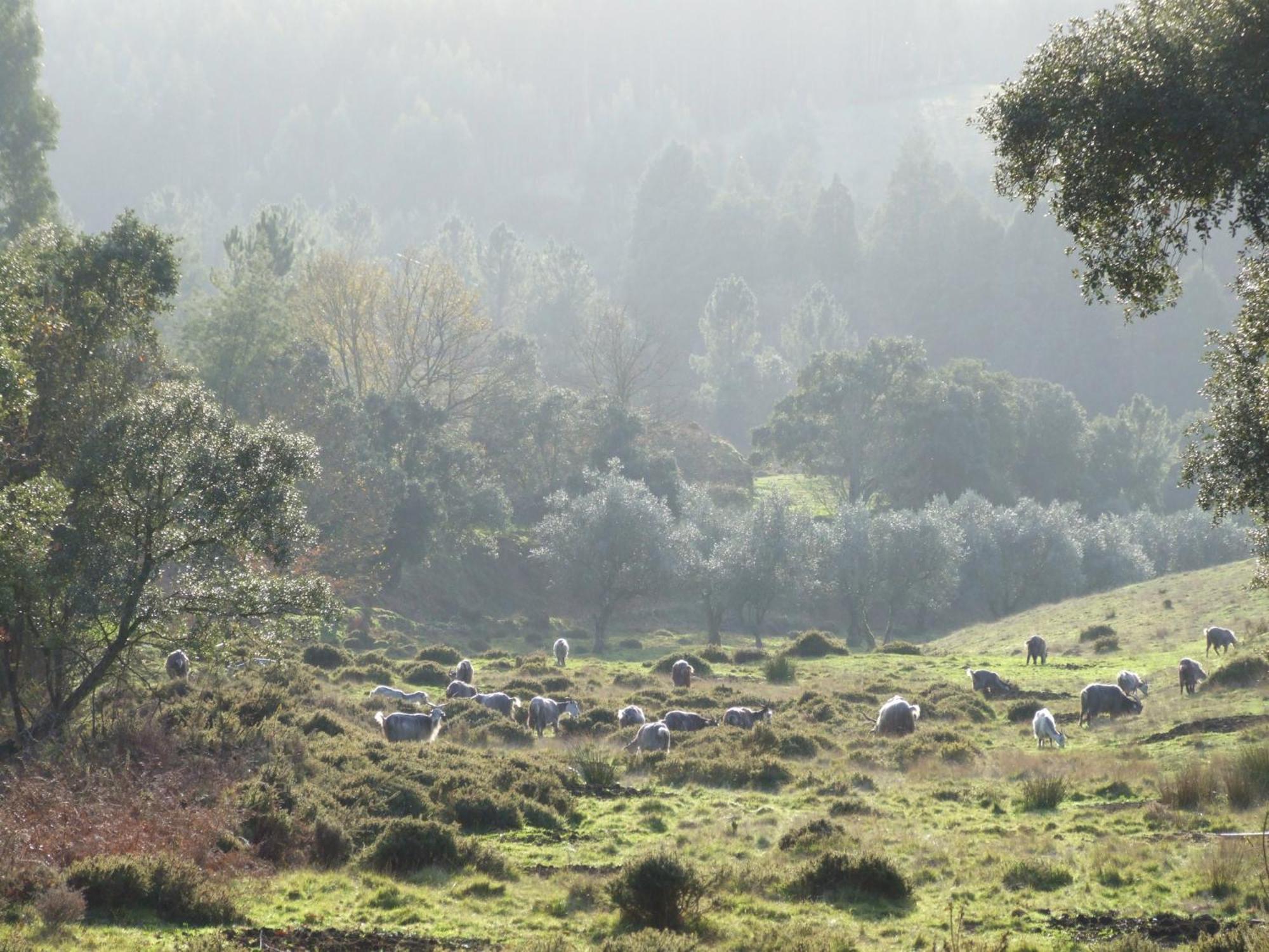 Vumba Agroturismo أرغانيل المظهر الخارجي الصورة