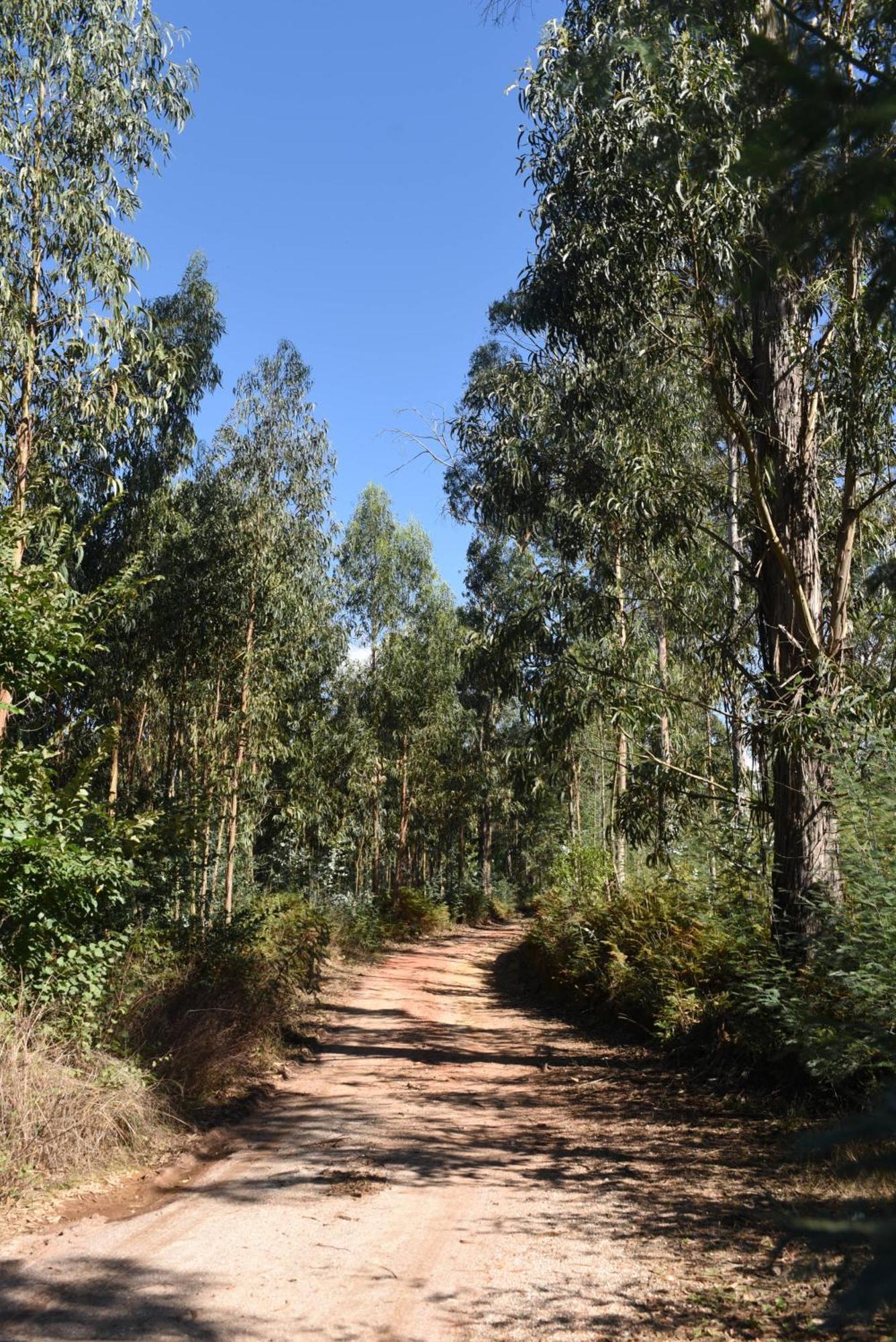 Vumba Agroturismo أرغانيل المظهر الخارجي الصورة