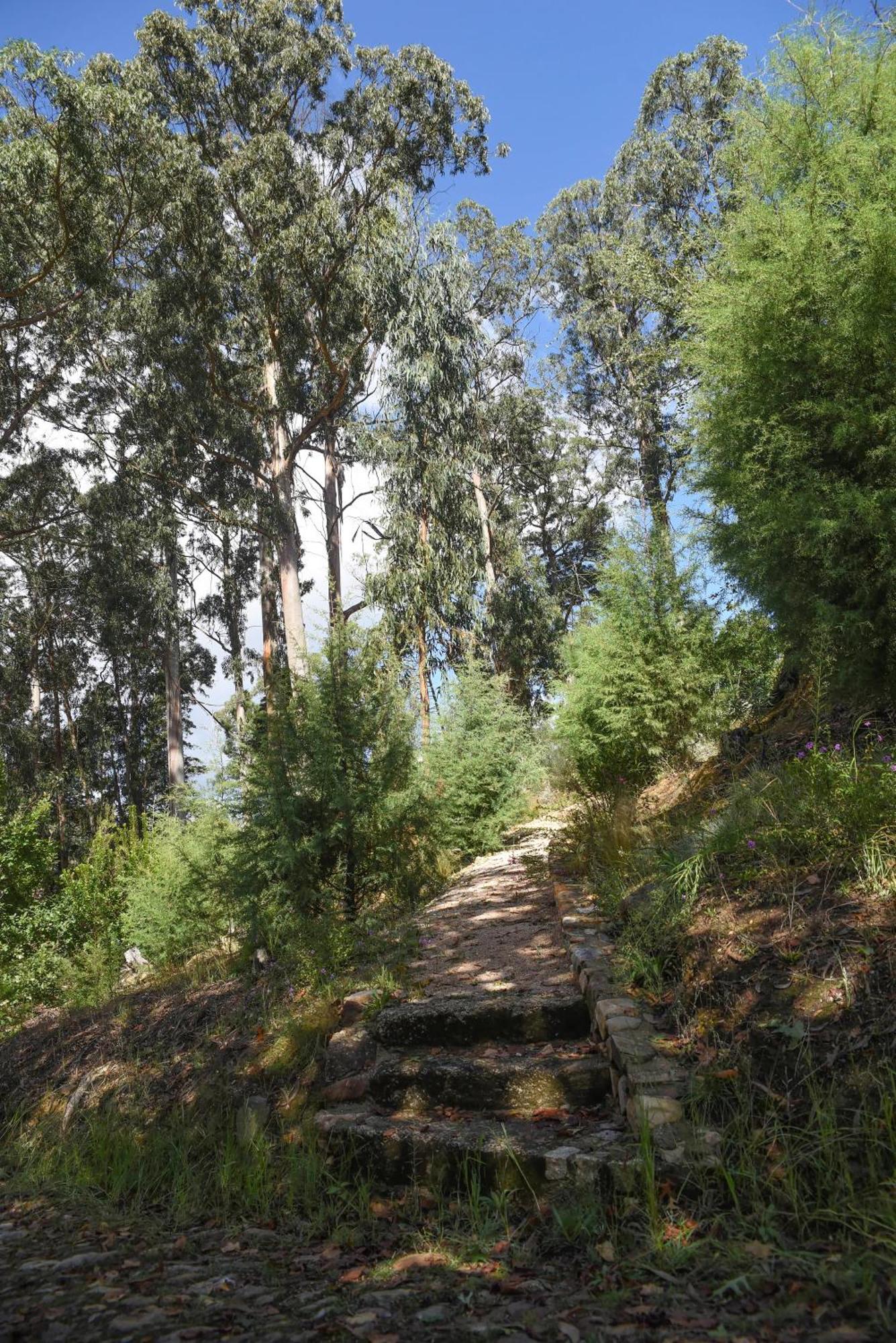 Vumba Agroturismo أرغانيل المظهر الخارجي الصورة