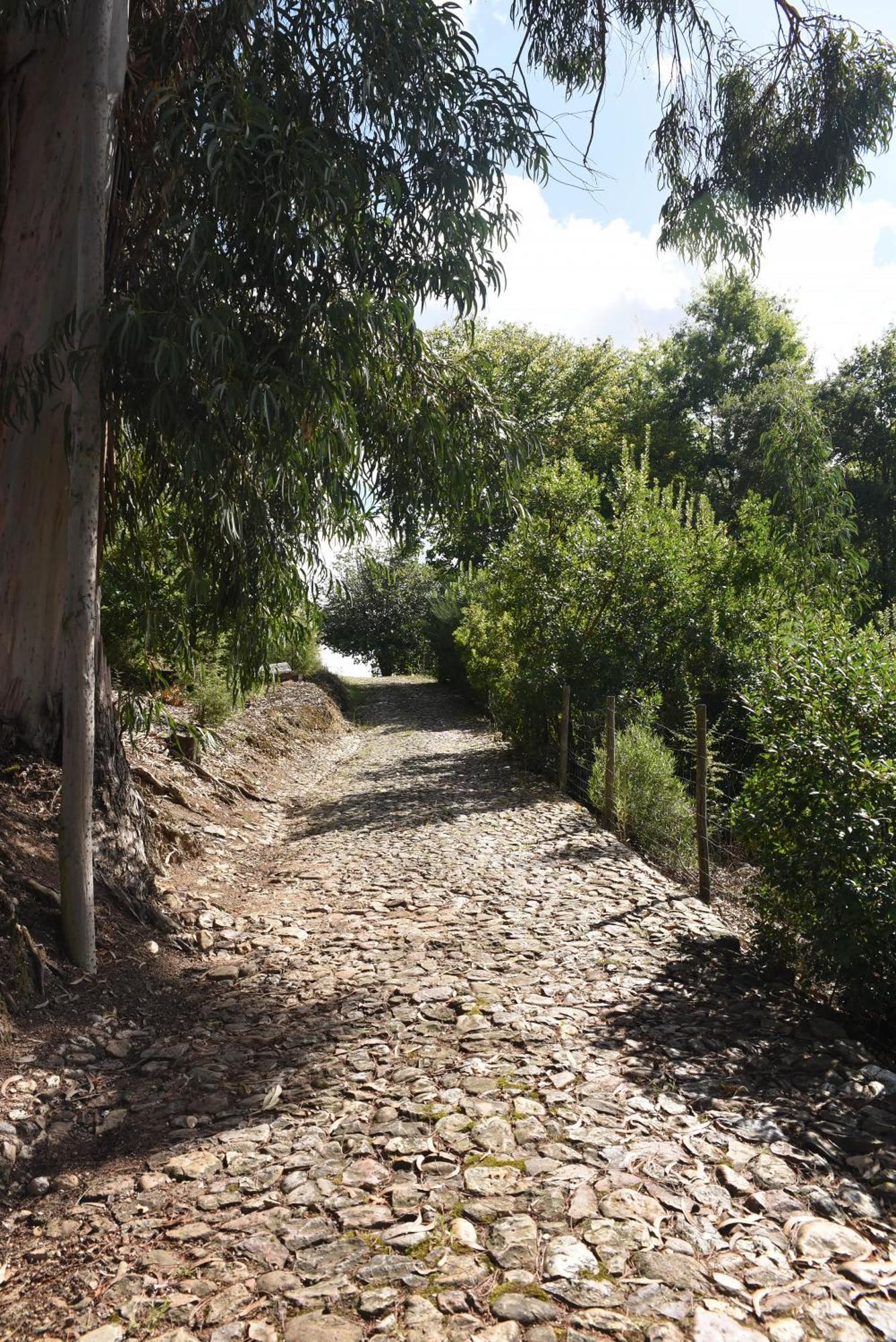 Vumba Agroturismo أرغانيل المظهر الخارجي الصورة